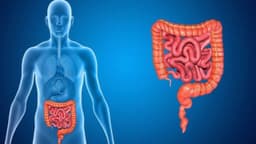 U mạc treo là gì, có nguy hiểm không? Điều trị thế nào?