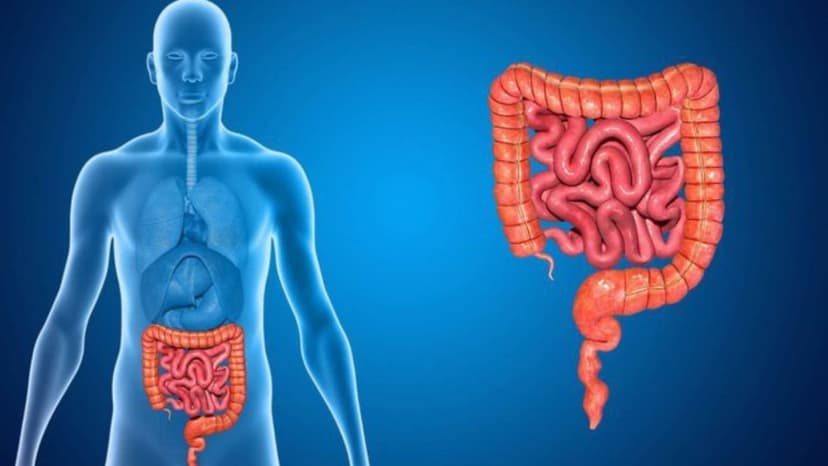 U mạc treo là gì, có nguy hiểm không? Điều trị thế nào?