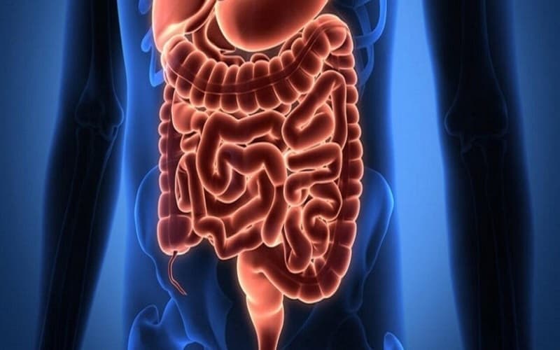 Viêm ruột non gồm hai dạng cấp tính và mạn tính