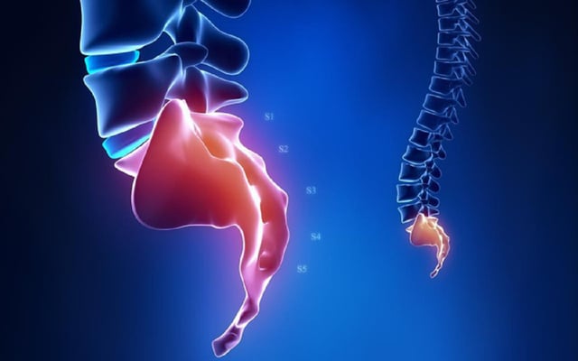 Xương cụt là gì? Đau xương cụt có nguy hiểm không?