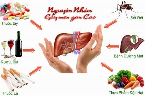 Men gan cao có nguy hiểm không?