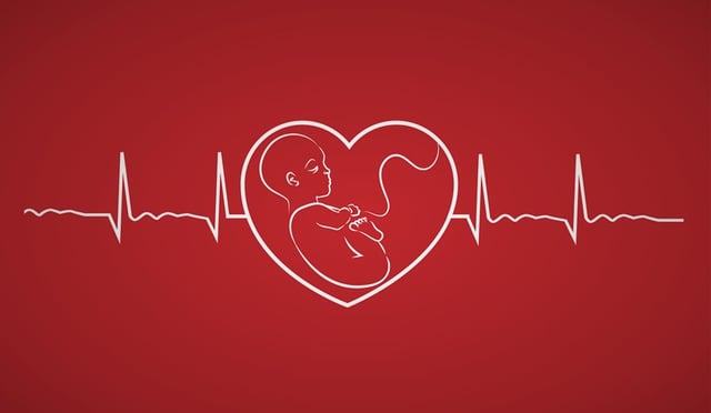 Thai nhi mấy tuần có tim thai và những thắc mắc thường gặp