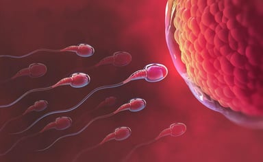 Mách nhỏ các chị em cách tính ngày rụng trứng