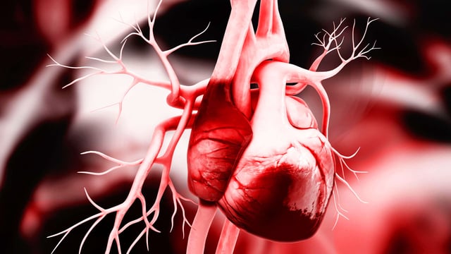 Hẹp van tim 3 lá: Nguyên nhân, triệu chứng và chẩn đoán