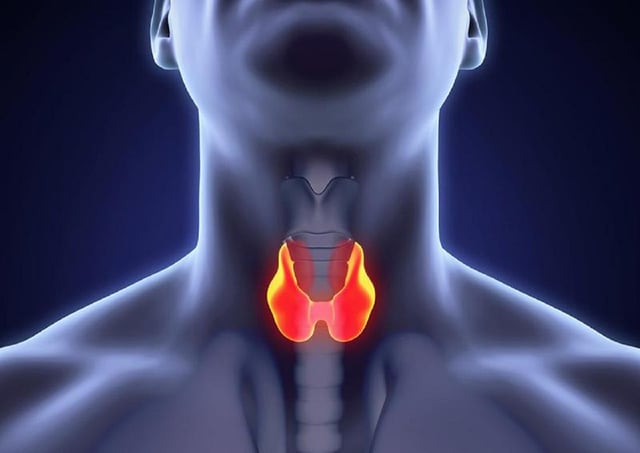 U tuyến giáp nằm ở vị trí nào và các phương pháp điều trị