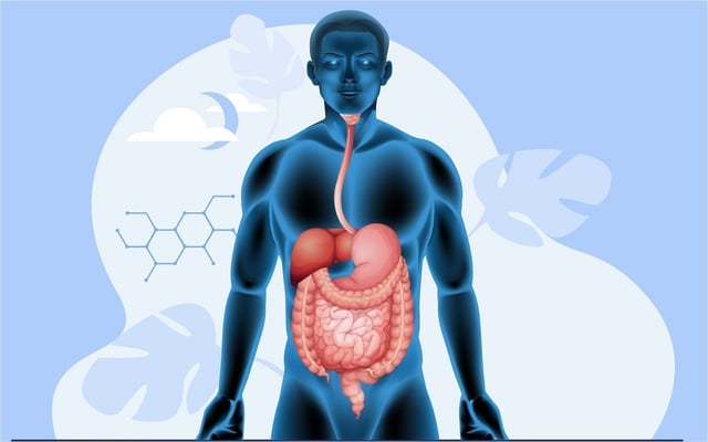 Nội soi tiêu hóa phát hiện những bệnh nào? Ai nên nội soi?