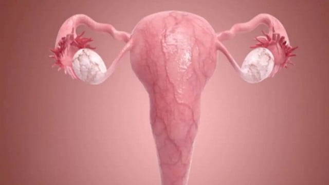 Bật mí phương pháp điều trị tốt nhất khi bị tắc vòi trứng