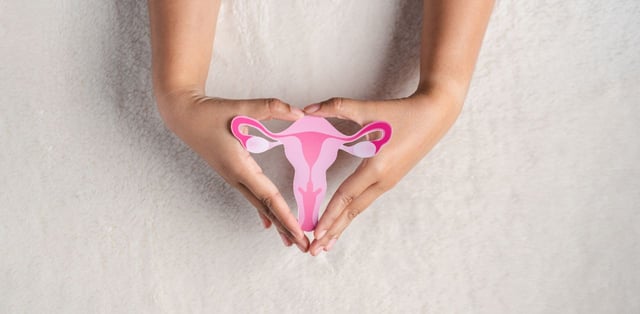 Những nguyên nhân bị u xơ tử cung mà chị em thường gặp
