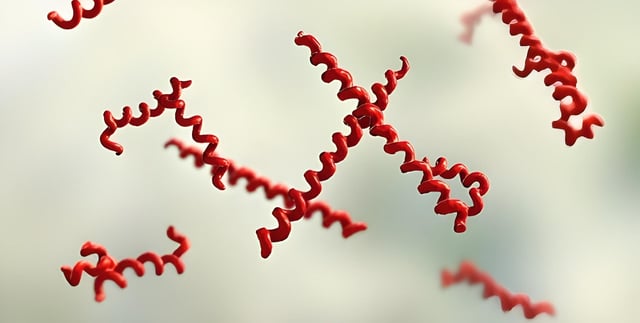 5 biện pháp giúp phòng tránh bệnh giang mai hiệu quả
