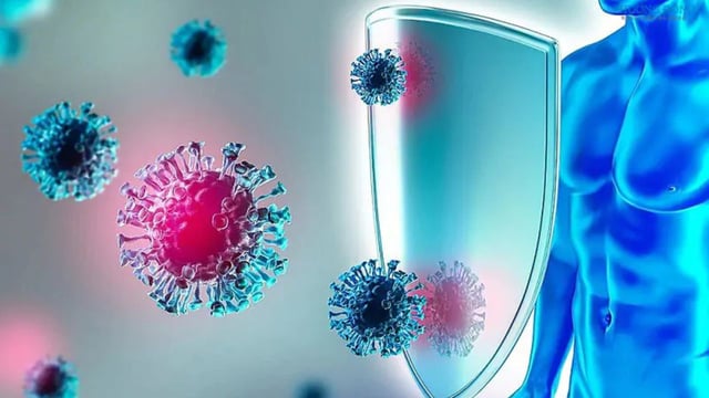 Những điều bạn cần biết về thời gian tạo miễn dịch cho vắc xin