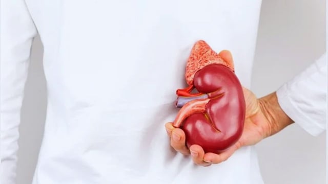 Thận bị ứ nước một bên có nguy hiểm không?