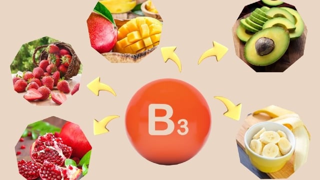 Tổng hợp: vitamin b3 có trong trái cây nào