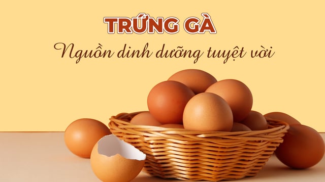 Dinh dưỡng trong trứng gà và ứng dụng trong đời sống