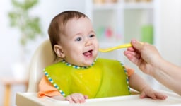 Bé ăn lươn có tốt không? Lợi ích và những điều mẹ cần lưu ý