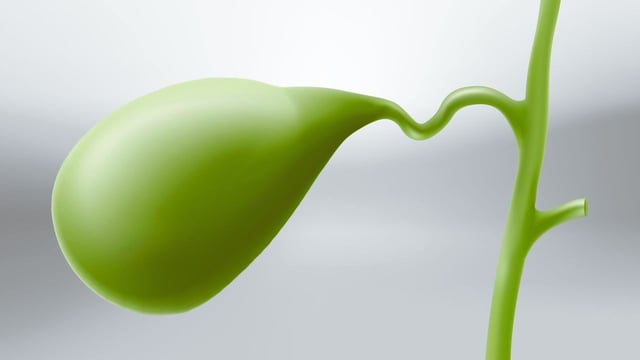 Túi mật: Kích thước, chức năng, cấu tạo, các vấn đề thường gặp