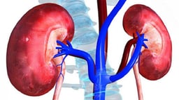 Thận ứ nước có nguy hiểm không và những điều cần biết 