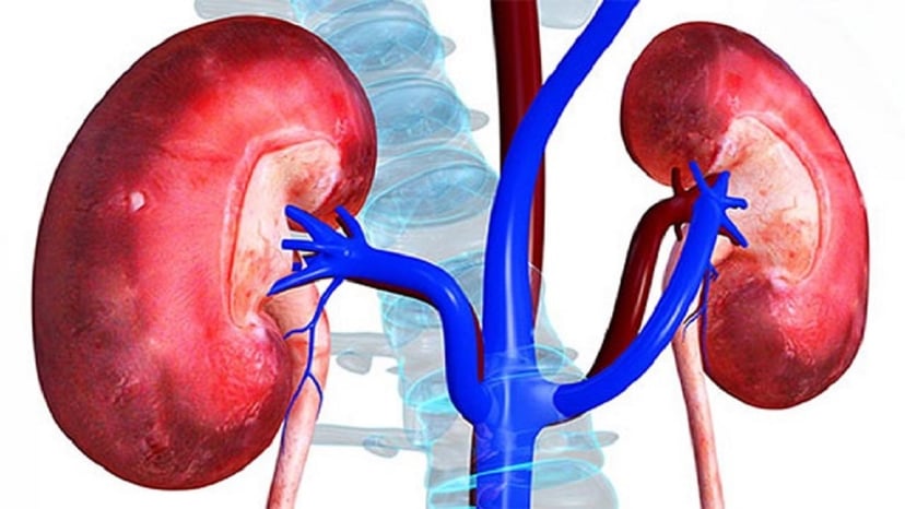 Thận ứ nước có nguy hiểm không và những điều cần biết 