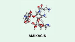 Amikacin là hoạt chất gì? Tác dụng và cách dùng