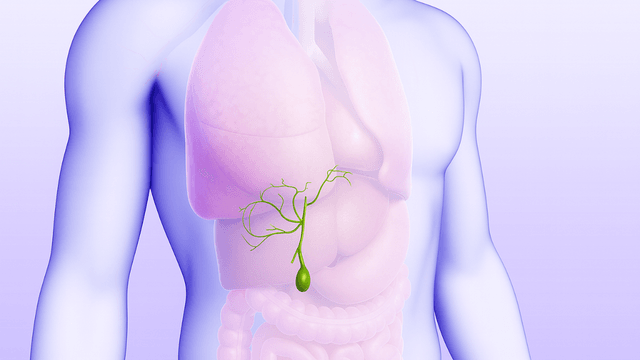 Vỡ túi mật: Nguy cơ và cách xử trí