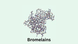 Bromelains là hoạt chất gì? Tác dụng và cách dùng