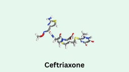 Ceftriaxone là hoạt chất gì? Tác dụng và cách dùng