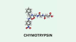 Chymotrypsin là hoạt chất gì? Tác dụng và cách dùng
