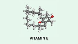 Vitamin E là hoạt chất gì? Tác dụng và cách dùng