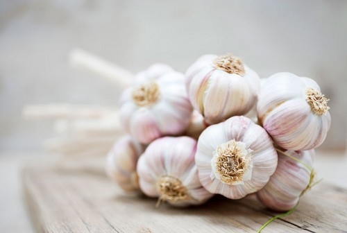 Bản tính kháng sinh tự nhiên trong tỏi có tác dụng tốt cho người viêm phế quản