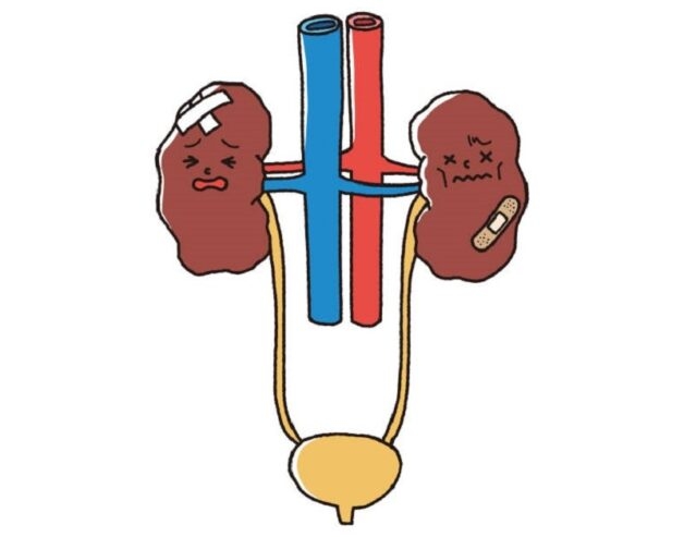 Bệnh viêm nhiễm khuẩn đường tiết niệu có nguy hiểm không?