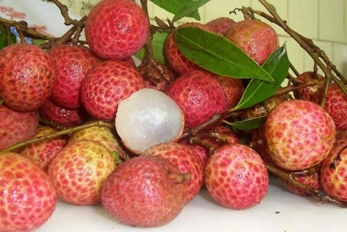 chua-dau-bung-tieu-chay-hieu-qua-bang-la-cay-trong-vuon.jpg1