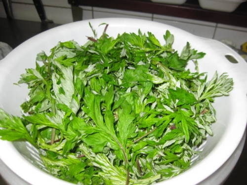 chua-dau-lung-moi-goi-tu-nhung-thu-cay-trong-vuon.jpg3