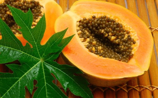 Chữa đau lưng mỏi gối từ những thứ cây trong vườn