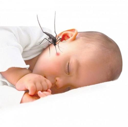 hoi-dap-benh-sot-xuat-huyet-o-tre-em