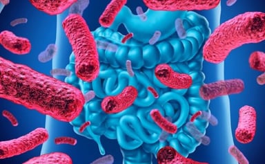 4 triệu chứng bệnh loạn khuẩn đường ruột ở người lớn