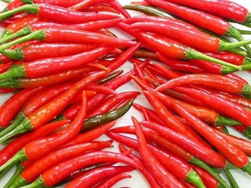 Những người bị loét dạ dày không nên ăn ớt