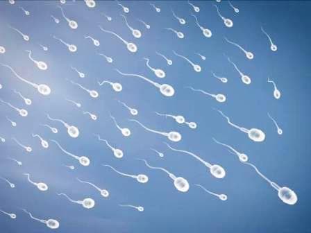 xet-nghiem-tinh-trung2