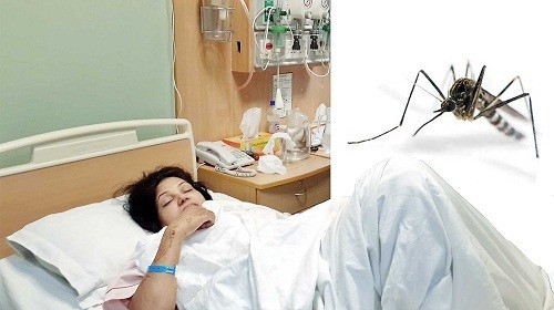 Bệnh sốt xuất huyết có diễn biến phức tạp, tiềm ẩn nguy cơ lây lan trên diện rộng, đỉnh điểm là vào thời điểm tháng 10 và 11 hằng năm.