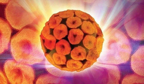 HPV là bệnh lây truyền qua đường tình dục phổ biến nhất trên thế giới hiện nay, và đều có thể ảnh hướng đến cả nam và nữ.