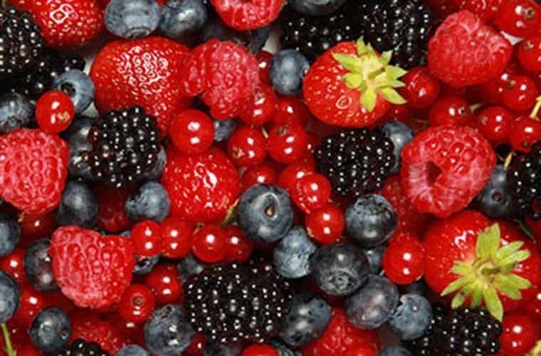 dinh-duong-cho-nguoi-benh-dai-thao-duong.jpg6