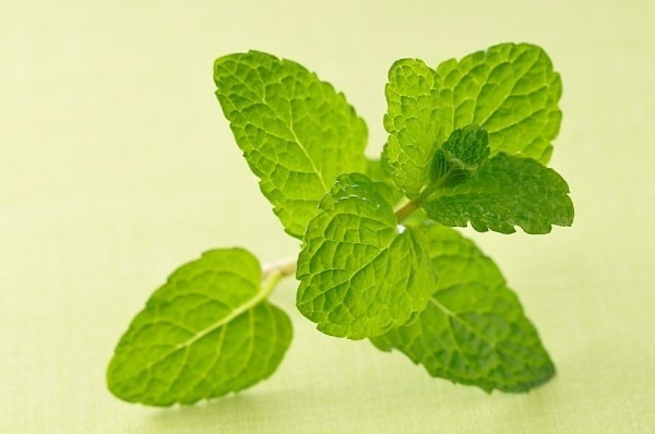 giai-doc-co-the-chi-voi-8-loai-thuc-pham.jpeg5