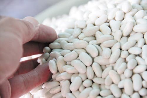 rau-qua-giup-dieu-tri-benh-tieu-duong