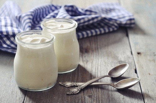 Sữa chua có probiotics rất phù hợp với chế độ ăn uống cho bệnh nhân viêm màng não