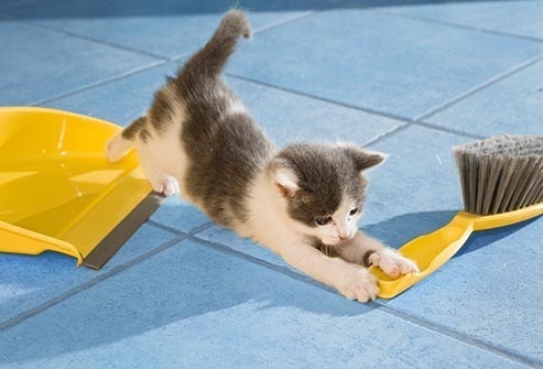 Nếu bị dị ứng với phấn hoa, lông vật nuôi hoặc bụi, người bệnh nên cố gắng hạn chế tiếp xúc càng nhiều càng tốt.
