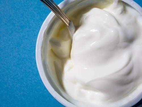 Lactobacillus acidophilus trong sữa chua giúp tăng cường hệ thống miễn dịch và ngăn ngừa hoặc làm giảm nhiễm trùng bàng quang trong tương lai.