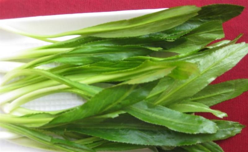 Cách chữa cảm cúm không dùng thuốc cho bà bầu5