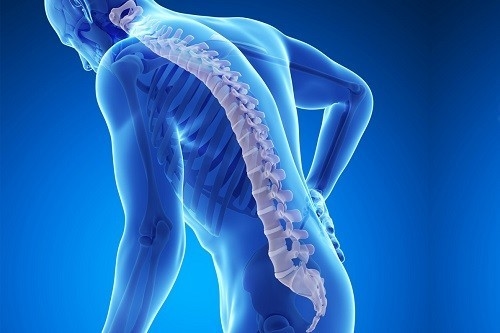 Sự kết hợp của quá trình lão hóa và thiếu dinh dưỡng cuối cùng có thể dẫn đến sự phát triển bệnh loãng xương.