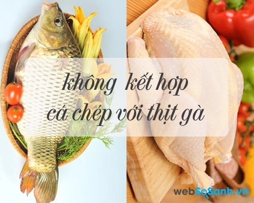 thuc-pham-tuyet-doi-khong-duoc-ket-hop-khi-nau-chao-cho-be9