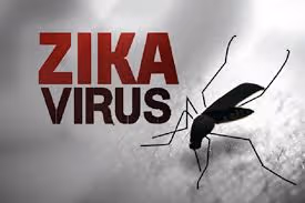 Dịch bệnh Zika lan rộng khắp Sài Gòn