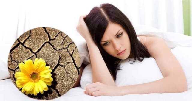 Vitamin e có trị khô âm đạo không?