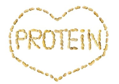 Những điều có thể bạn chưa biết về protein
